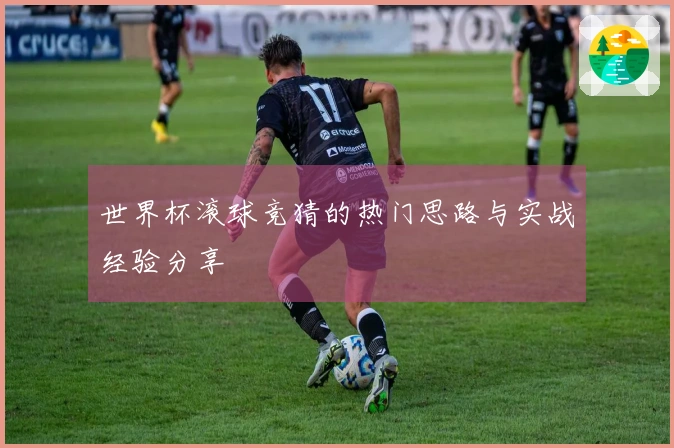 世界杯滚球竞猜的热门思路与实战经验分享