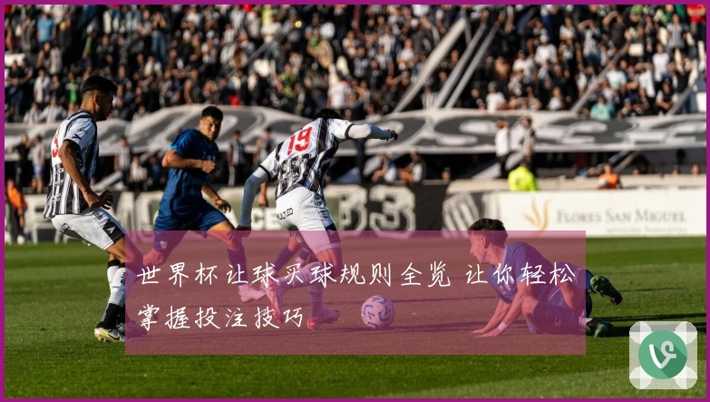 世界杯让球买球规则全览 让你轻松掌握投注技巧