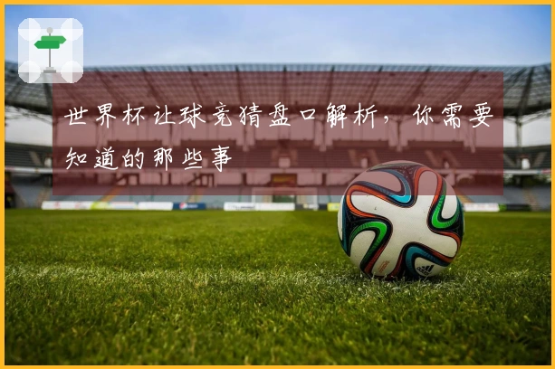 世界杯让球竞猜盘口解析，你需要知道的那些事