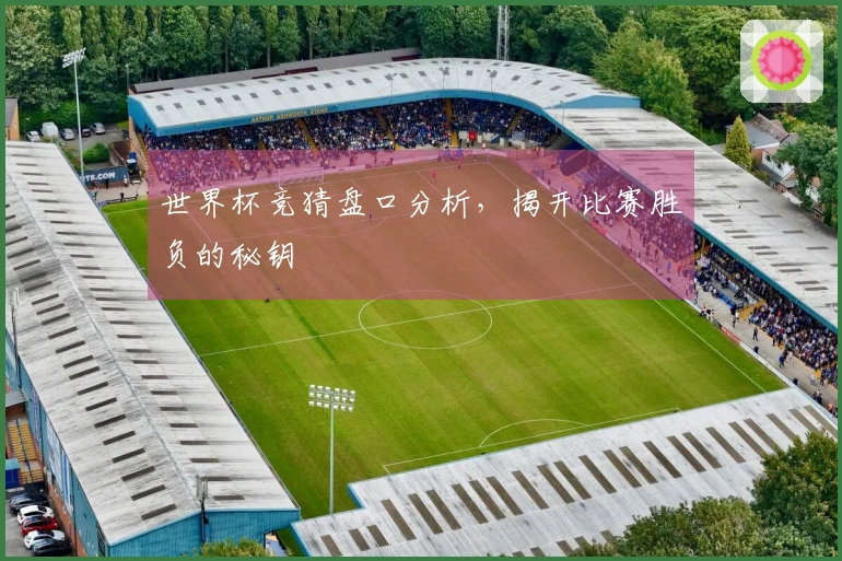世界杯竞猜盘口分析，揭开比赛胜负的秘钥
