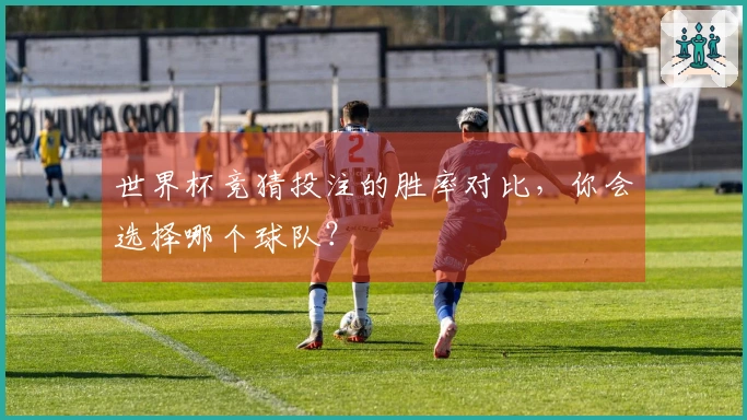 世界杯竞猜投注的胜率对比，你会选择哪个球队？