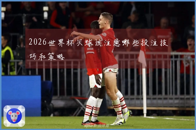 2026世界杯买球该注意哪些投注技巧和策略
